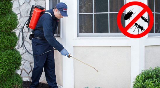 Çatalca Gümüşkurt İlaçlama böcek ilaçlama ve haşere kontrolü — ilaclama-tr.com